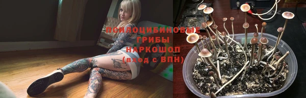 гидропоника Покровск
